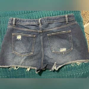 Time and Tru High Rise Blue Denim Shorts